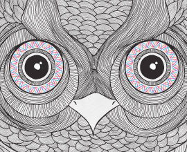 【无广告】清爽的呼叫软件天天呼